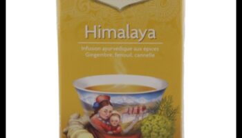 تناغم الزنجبيل: استكشاف النوتات المبهجة للنقيع الصحي