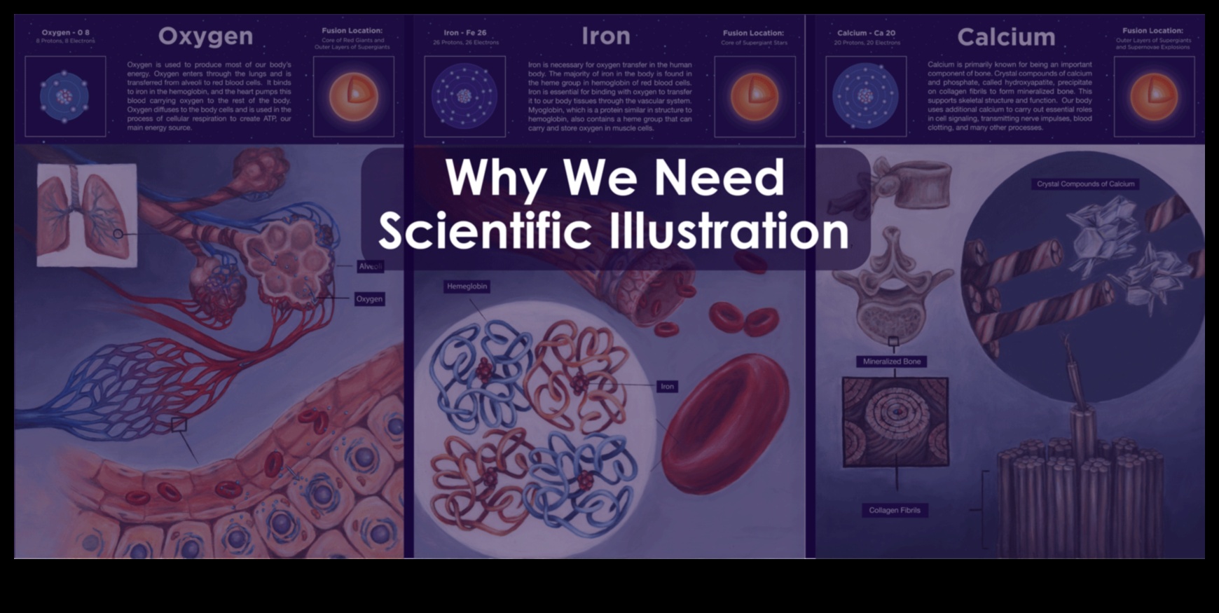 فن التفسير العلمي: صياغة الرسوم التوضيحية للفهم
