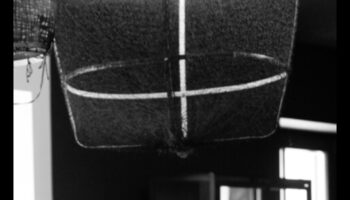 الواحة الفخمة: انغمس في الفخامة مع مجموعة خلخال الواحة لدينا