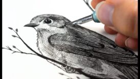 فن التظليل المتقاطع: تعزيز الملمس في الرسومات الملونة