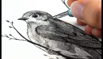 فن التظليل المتقاطع: تعزيز الملمس في الرسومات الملونة