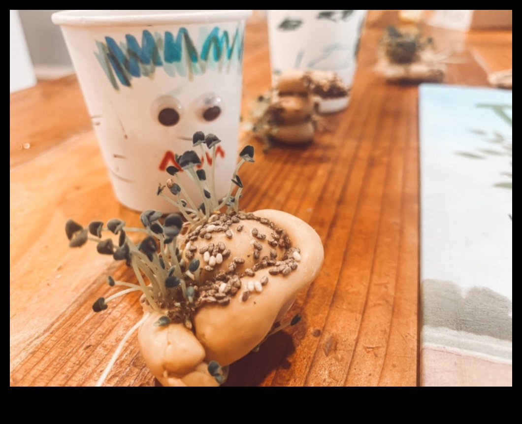 مغامرات شيا DIY: صياغة خلطات ترطيب فريدة ولذيذة