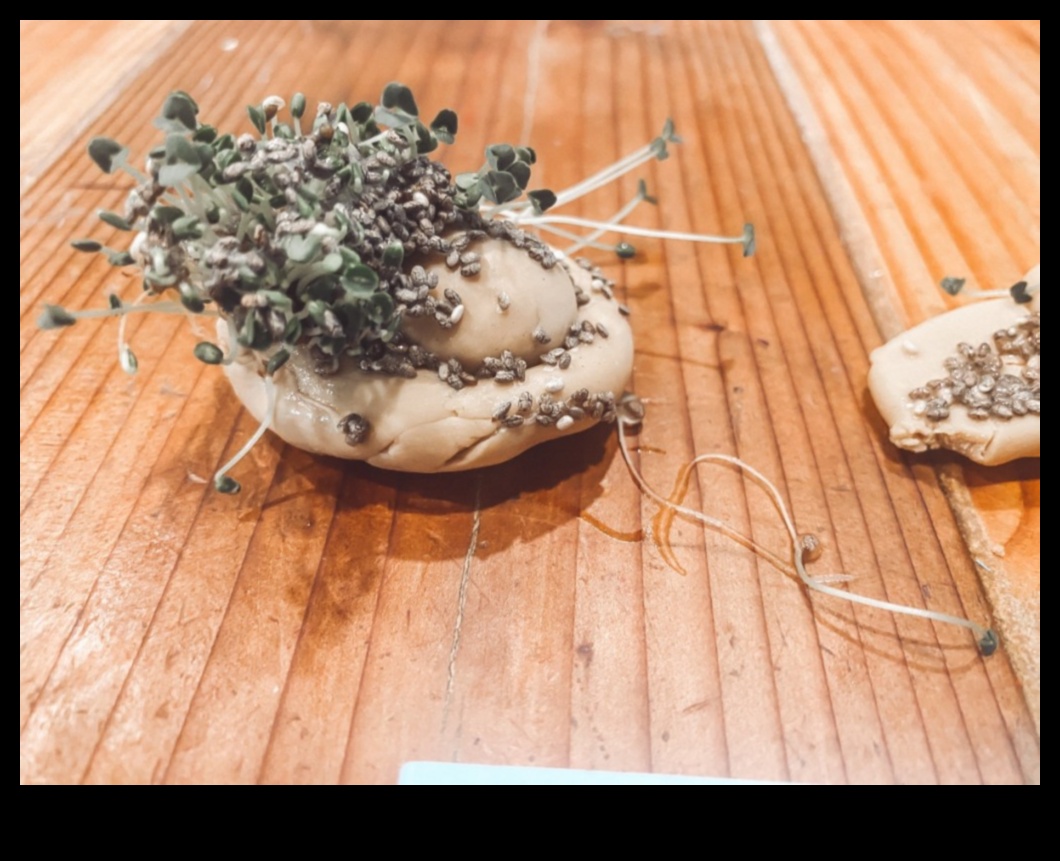 مغامرات شيا DIY: صياغة خلطات ترطيب فريدة ولذيذة