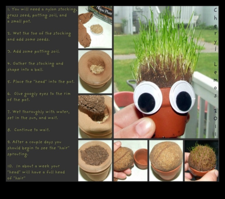 مغامرات شيا DIY: صياغة خلطات ترطيب فريدة ولذيذة