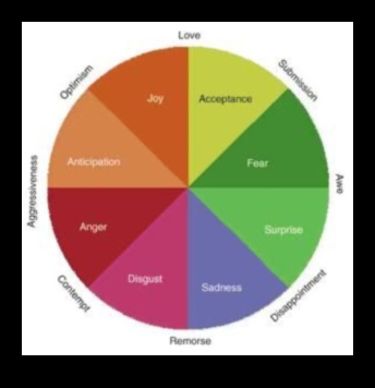 منظور العاطفة: نقل المشاعر من خلال الفن الملون