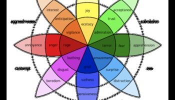 منظور العاطفة: نقل المشاعر من خلال الفن الملون