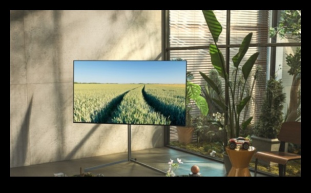 الترفيه الصديق للبيئة: أجهزة تلفزيون بمواد وتغليف مستدام