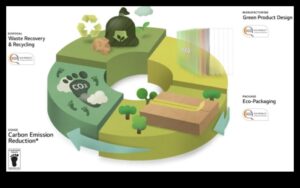 الترفيه الصديق للبيئة: أجهزة تلفزيون بمواد وتغليف مستدام