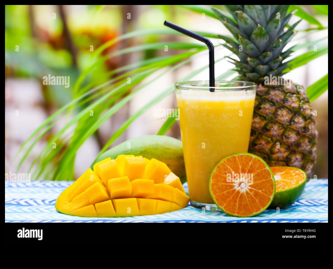 الجنة الاستوائية في كوب: تجربة عصائر الفاكهة الطازجة الغريبة