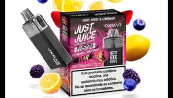 انفجار التوت: استكشاف النكهات المتفجرة لعصائر التوت الطازجة